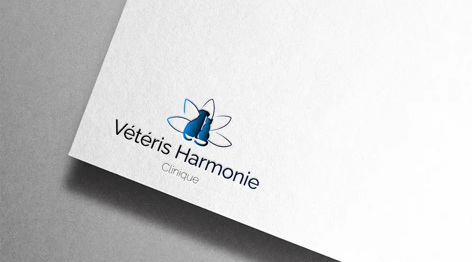Mockup d'un papier de création texturé avec le logo Vétéris Harmonie appliqué en débossage (impression en creux sans encre). Concept d'identité visuelle vétérinaire par Bline Design.