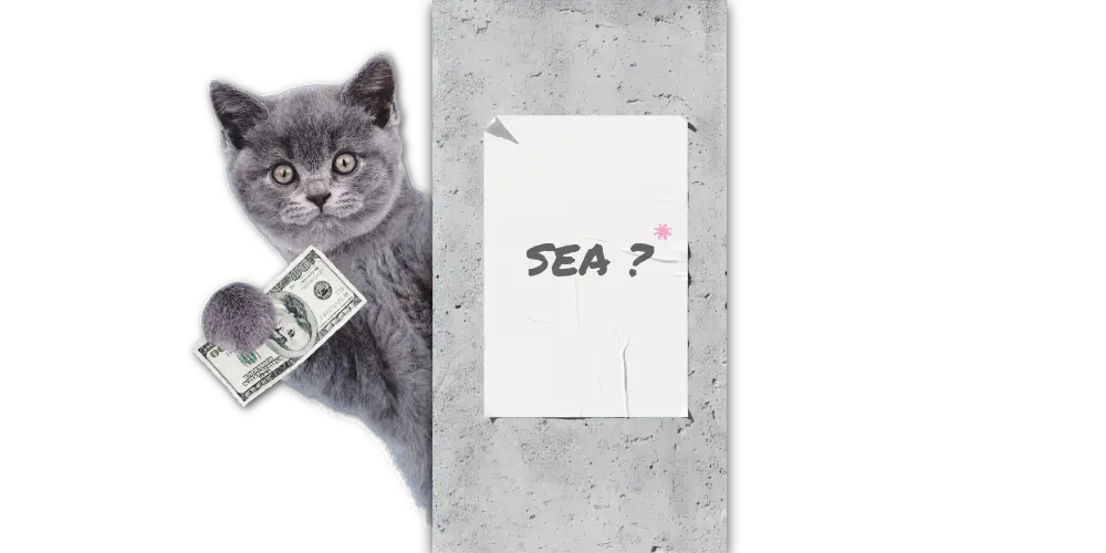 Un chat malin tient un billet de dollar, illustrant le référencement payant (SEA) pour ceux qui veulent comprendre le SEO global à Lille.
